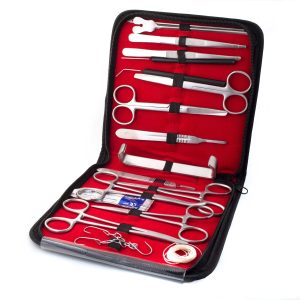 FELVIT ESTUCHE DISECCION