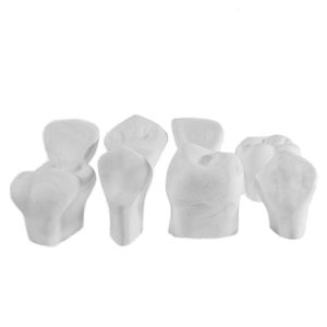 MACRODIENTE DE YESO ADULTO (JUEGO CON 8)